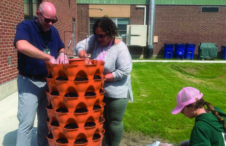 Employees planting the garden