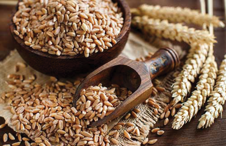 Wheat berries